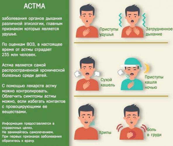 Горчичники при лечении бронхита — показания и особенности применения
