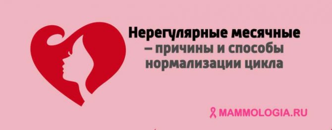 Как восстановить менструационный цикл после 40 лет народные средства?