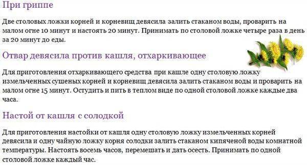Как заварить корни девясила от кашля