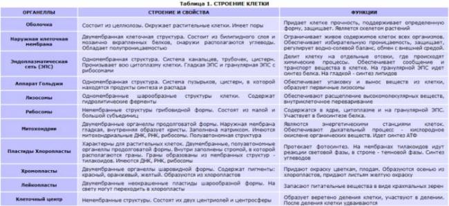 Строение клетки | student guru