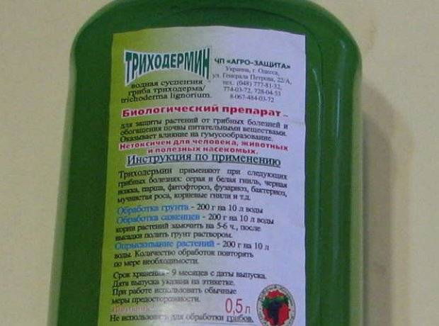 Триходермин инструкция по применению отзывы когда обрабатывать