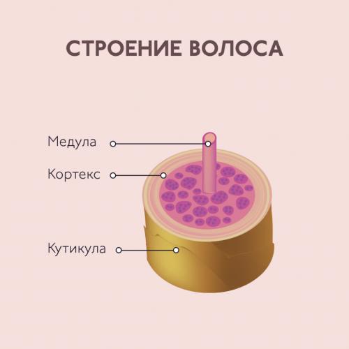 Кератины — традиция