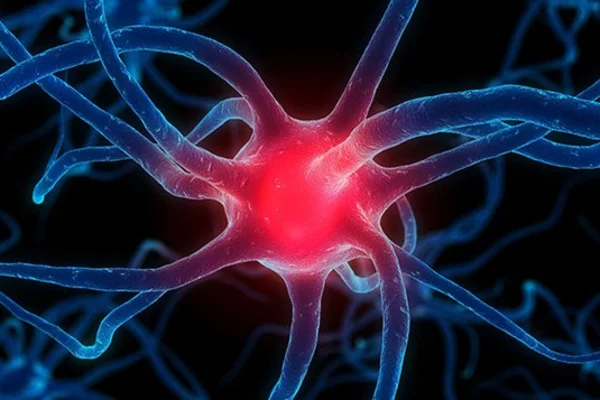 Что такое бактериальная инфекция и чем она отличается от вирусной?