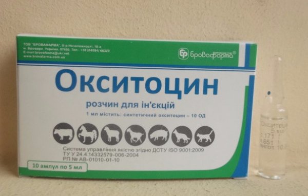Окситоцин: уколы в ампулах