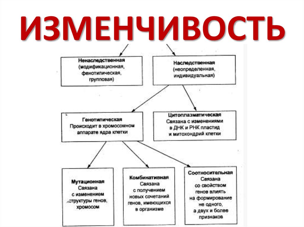 Соматические мутации в природе