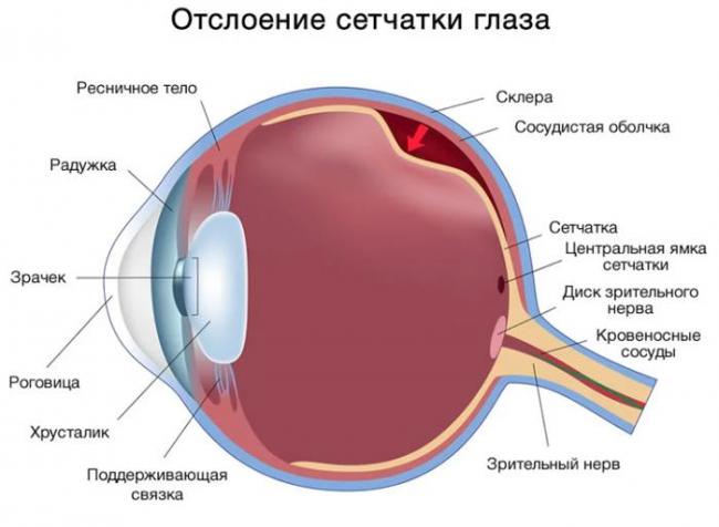 Сумеречное зрение (гемералопия) - причины расстройства зрения