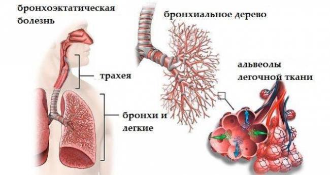 Будесонид-интели аэрозоль инструкция по применению