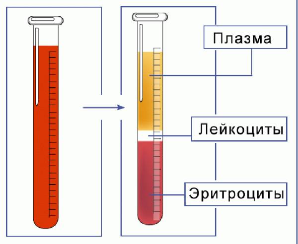 Норма соэ в крови у детей: повышенное соэ, что делать при высоком соэ, анализ, до года, 2, 3 года