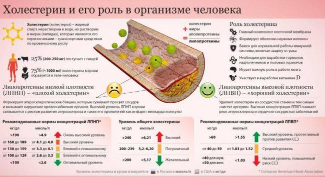 Диета при атеросклерозе сосудов шеи