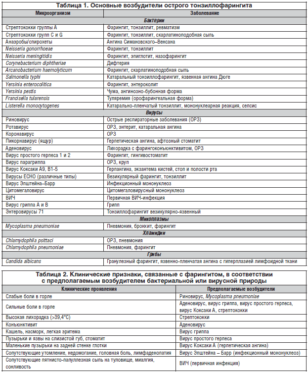 Микробиота человека: роль бактерий, грибков, архей и вирусов в нашем теле