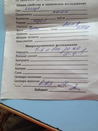 Бактерии в моче у женщин: что это значит, причины, проведение анализа, расшифровка, лечение