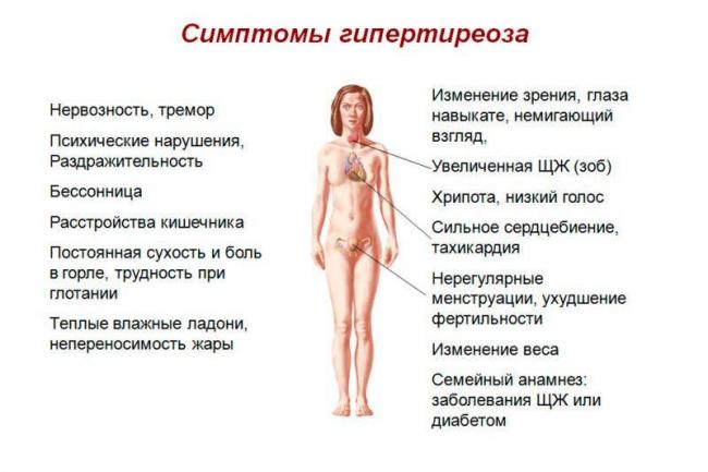 Эффективная диета при тиреотоксикозе щитовидной железы