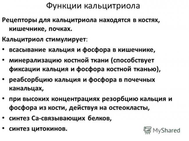 Околощитовидные железы. паратирин. паратгормон. кальцитриол. регуляторные функции гормона околощитовидных желез.
