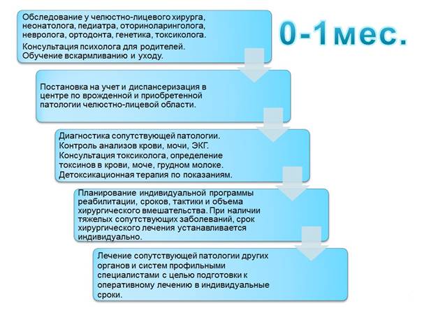 Волчья пасть. причины, симптомы, пластическая операция и реабилитация