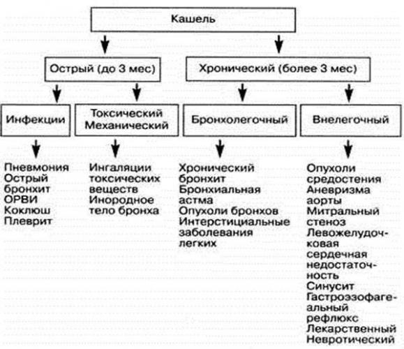 Причины бронхиальной астмы