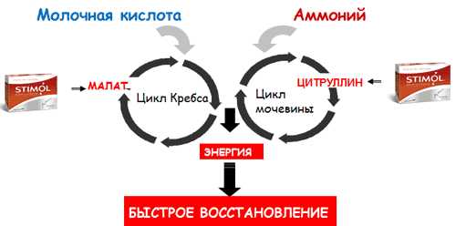 Миеломная болезнь – что это простыми словами, множественная миелома – симптомы, диагностика