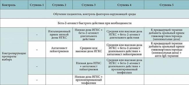 Аллергическая бронхиальная астма: механизм развития, симптомы, лечение
