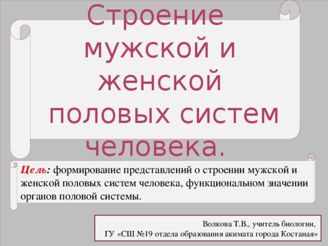 Процесс выработки гормона секса