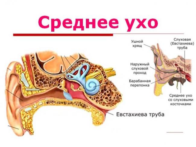 Антибиотики при отите у детей в таблетках, капли в уши, уколы. можно ли вылечить отит без антибиотиков ребенку?
