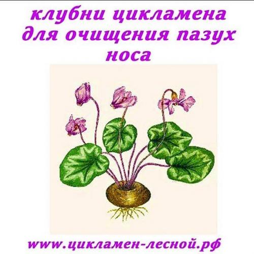 Как вылечить гайморит навсегда?