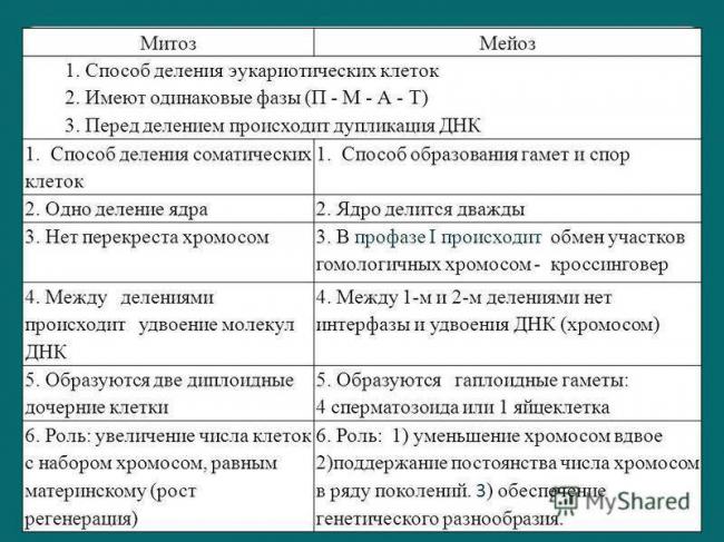 Размножение организмов. бесполое размножение | биология