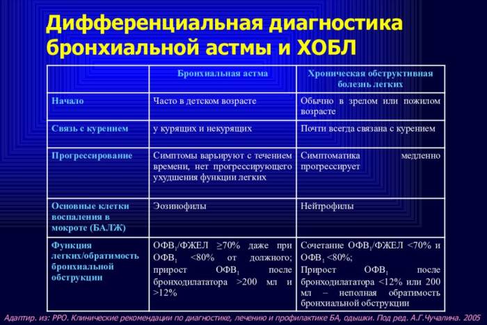 Бронхиальная астма. причины, симптомы, виды, лечение и профилактика астмы