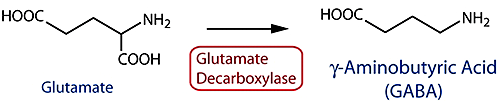 Никотиноил гамма-аминомасляная кислота Acidum nicotinoyl-gamma-aminobutyricum