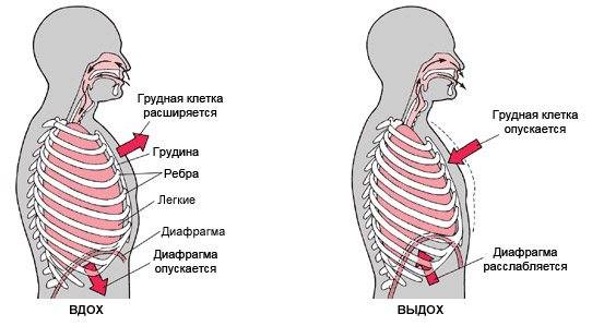 Боль при вдохе в груди без кашля