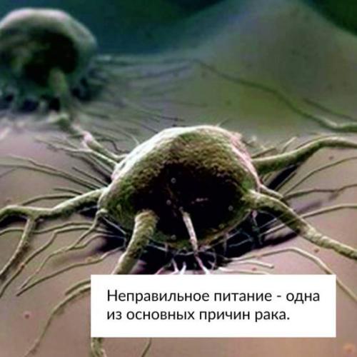 Влияние питания на онкологию: продукты, вызывающие и предотвращающие рак
