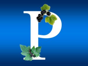 Выбираем лучший рутин: рейтинг и стоимость добавок