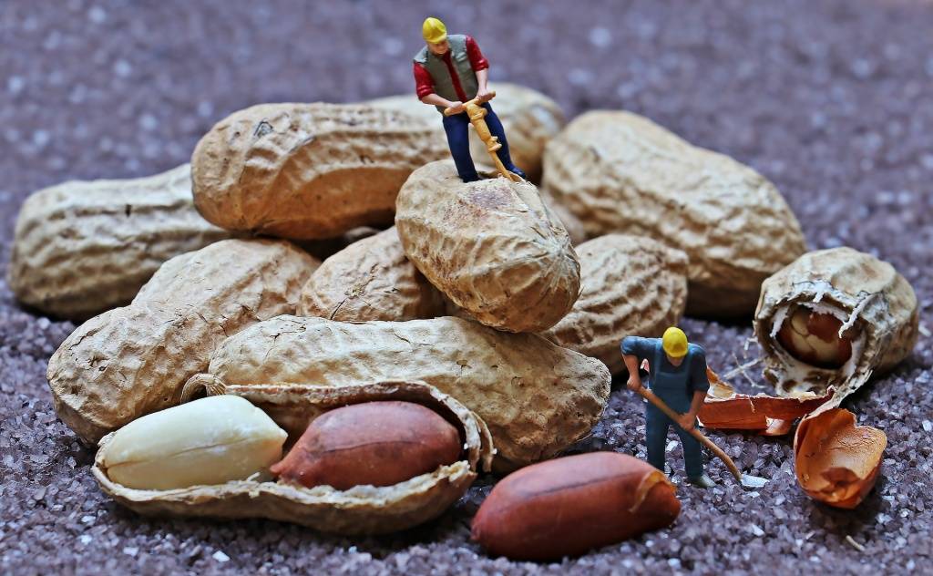 Почему орехи нужно есть каждый день: новое открытие ученых