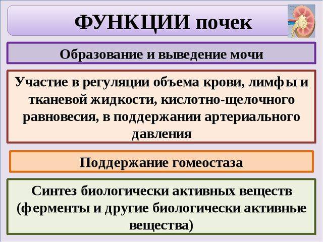Влияние сывороточного белка на кровяное давление - здоровье - 2020