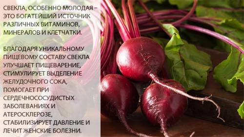 Свекольная диета — избавляет от лишнего веса без риска для здоровья