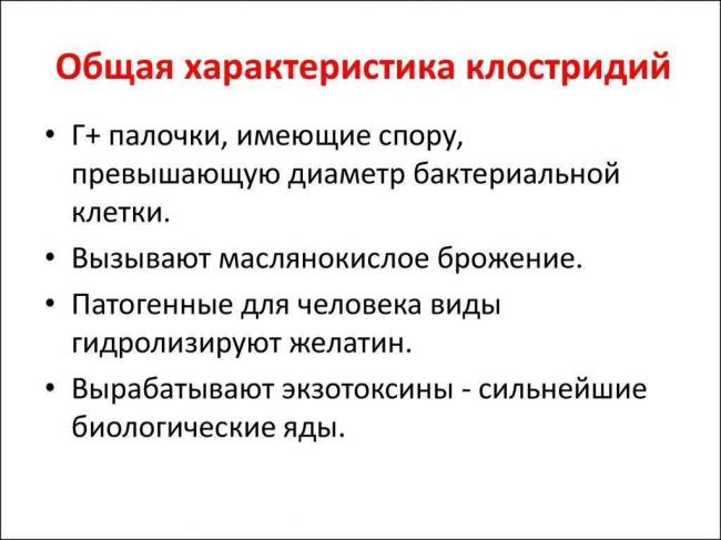 В чем опасность клостридий для человека и животных