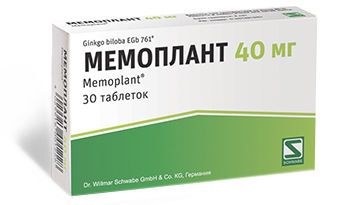 Гинкго билоба – лекарственное растение
