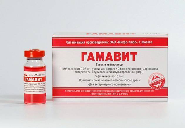 Гамавит отзывы ветеринара