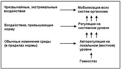 Понятие гомеостаза в разных сферах наук