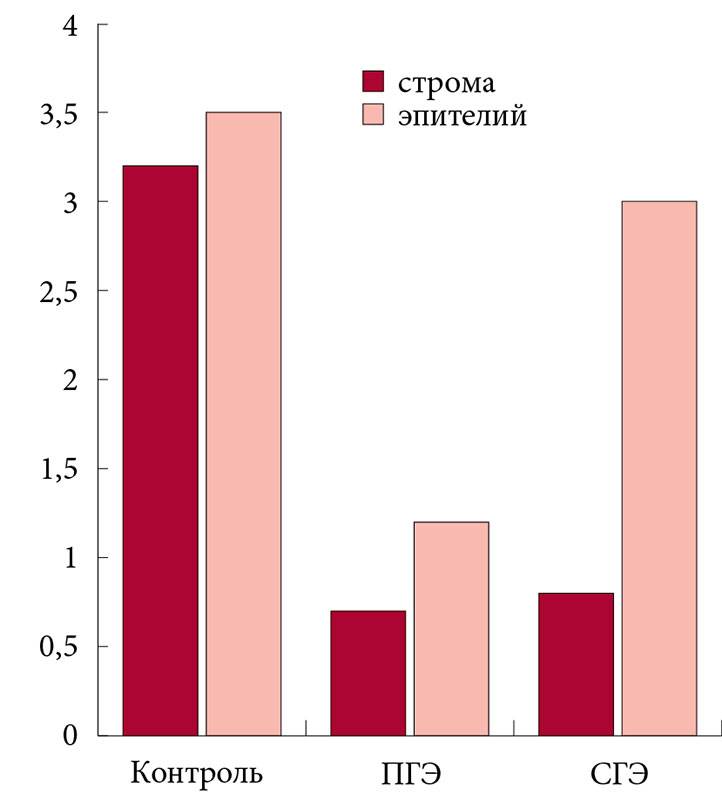 Трехслойный эндометрий: структура, причины появления, особенности