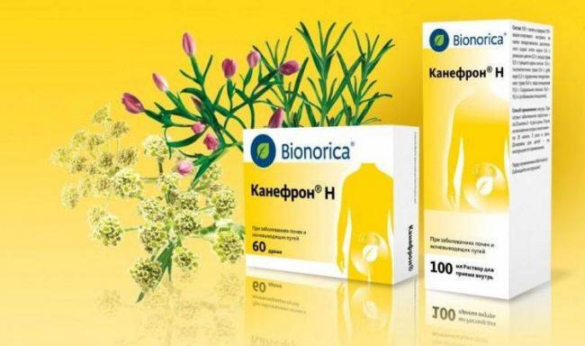 Канефрон для собак инструкция по применению