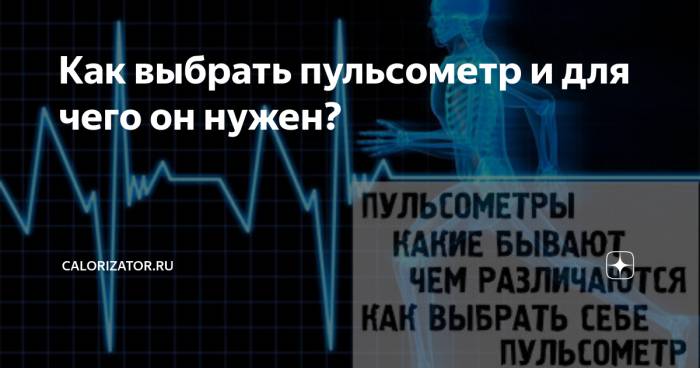 Пульс википедия