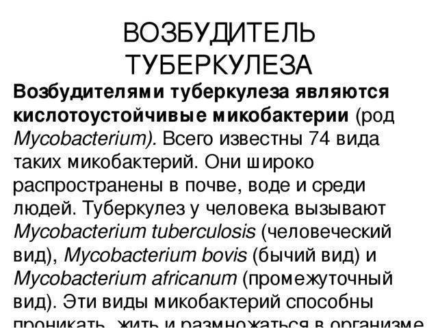 Современное лечение туберкулеза