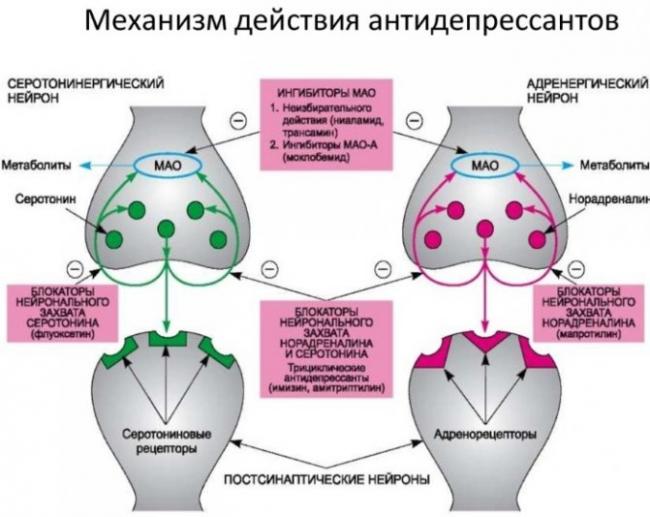Амитриптилин: инструкция по применению в таблетках, цена, отзывы, аналоги, показания к применению