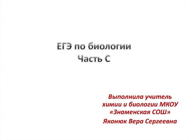 Жизнь на дне океана гораздо веселее