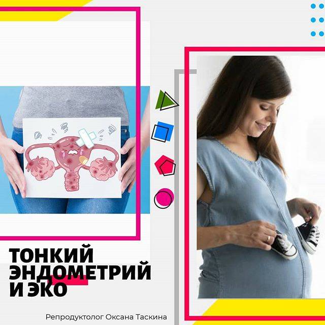 Как появляется трехслойный эндометрий?