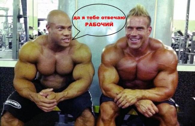 Соматотропин википедия