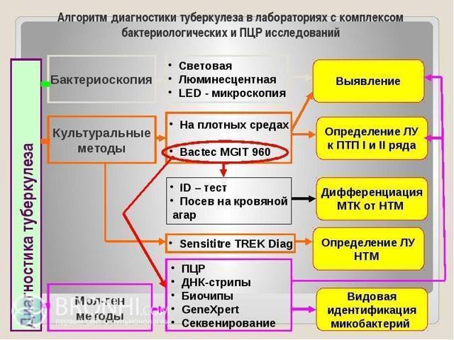 Общий анализ крови при туберкулезе лёгких