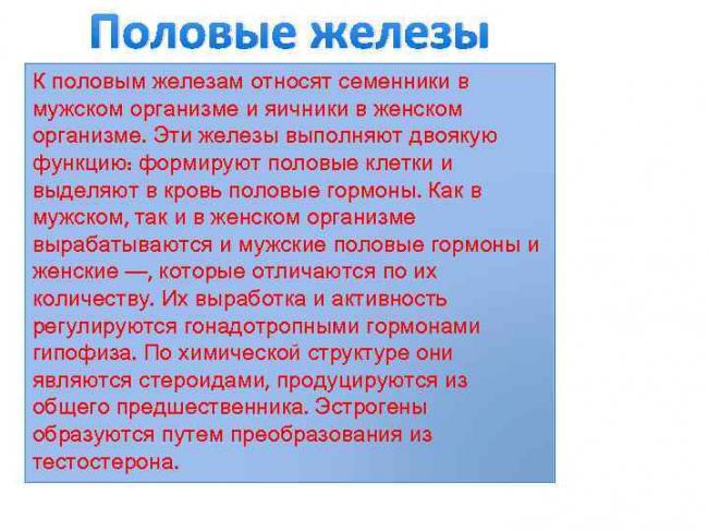 Гормональный дисбаланс: чем грозит избыток эстрогенов и андрогенов