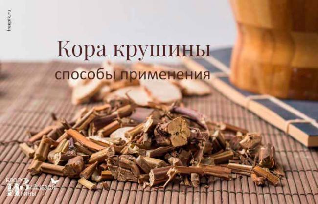 Крушина: полезные свойства, противопоказания, польза и вред