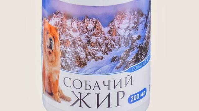 Как применять собачий жир при кашле