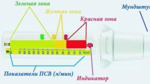 Нормальные значения пикфлоуметрии у детей и взрослых